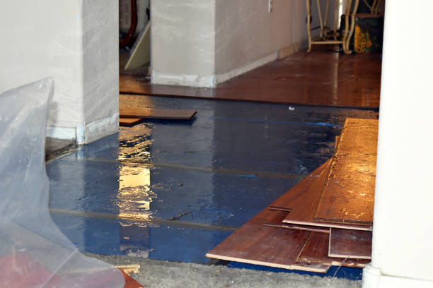Professional Basement Flood Cleanup technician working in Campbell, MO